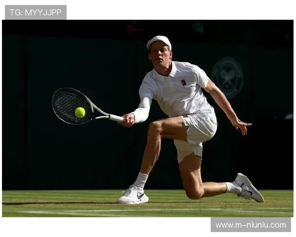 辛纳硬地夺得两大满贯展现全方位竞争力引领新一代网坛争霸